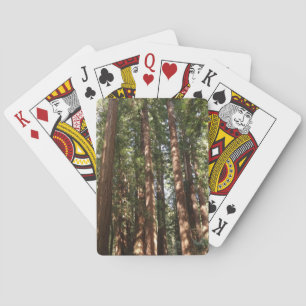 Tot Redwoods II in Muir Woods National Monument Pokerkaarten