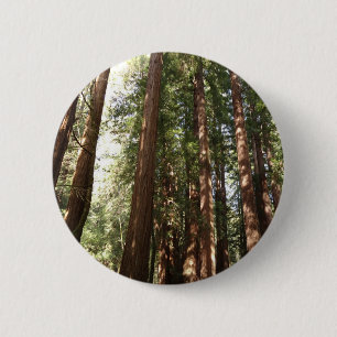 Tot Redwoods II in Muir Woods National Monument Ronde Button 5,7 Cm