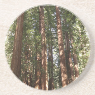 Tot Redwoods II in Muir Woods National Monument Zandsteen Onderzetter