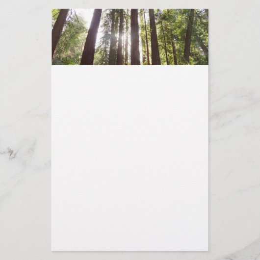 Tot Redwoods in de ochtend Briefpapier (Voorkant)