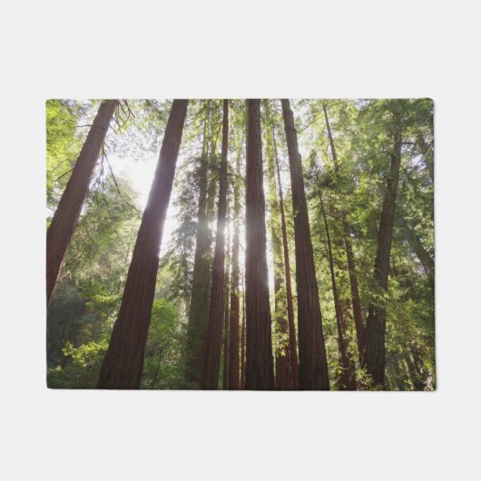 Tot Redwoods in de ochtend Deurmat (Voorkant)