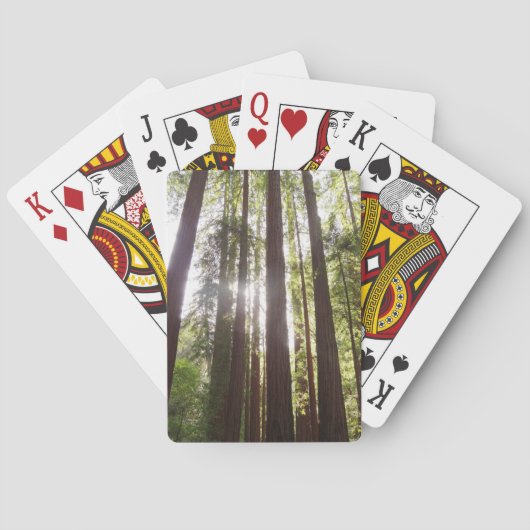 Tot Redwoods in de Ochtend Pokerkaarten (Achterkant)