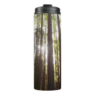 Tot Redwoods in de ochtend Thermosbeker