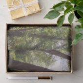 Tot Redwoods in de Ochtend Tissuepapier (Geschenk)