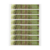 Tot Redwoods in Muir Bossen National Monument (Vel)