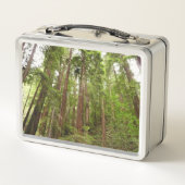 Tot Redwoods in Muir Bossen National Monument (Achterkant)