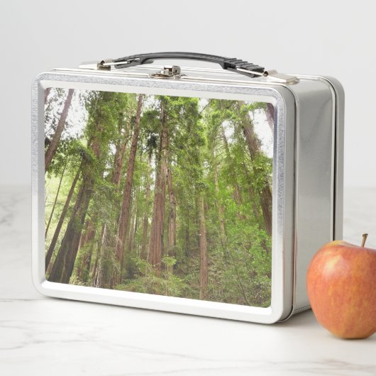 Tot Redwoods in Muir Bossen National Monument (In situ)