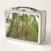 Tot Redwoods in Muir Bossen National Monument (Voorkant)