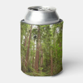 Tot Redwoods in Muir Bossen National Monument Blikjeskoeler (Blikje Voorkant)