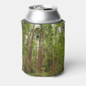 Tot Redwoods in Muir Bossen National Monument Blikjeskoeler (Blikje Achterkant)