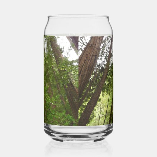 Tot Redwoods in Muir Bossen National Monument Blikvorm Glas (Rechts)