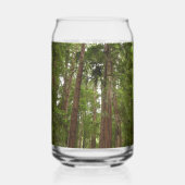 Tot Redwoods in Muir Bossen National Monument Blikvorm Glas (Links)