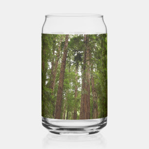 Tot Redwoods in Muir Bossen National Monument Blikvorm Glas