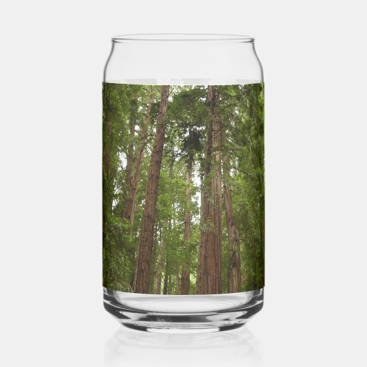 Tot Redwoods in Muir Bossen National Monument Blikvorm Glas (Links)