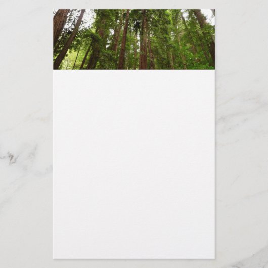 Tot Redwoods in Muir Bossen National Monument Briefpapier (Voorkant)