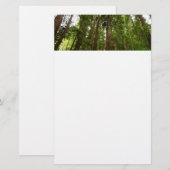 Tot Redwoods in Muir Bossen National Monument Briefpapier (Voorkant / Achterkant)