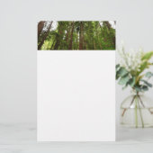 Tot Redwoods in Muir Bossen National Monument Briefpapier (Staand voorkant)