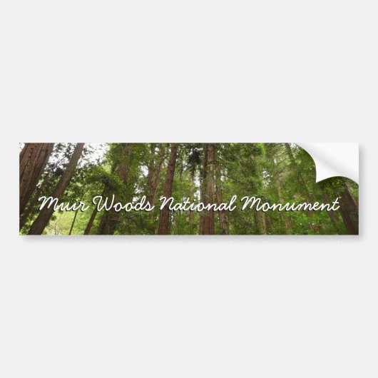 Tot Redwoods in Muir Bossen National Monument Bumpersticker (Voorkant)
