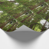 Tot Redwoods in Muir Bossen National Monument Cadeaupapier (Hoek)