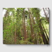 Tot Redwoods in Muir Bossen National Monument Gastenboek (Achterkant)