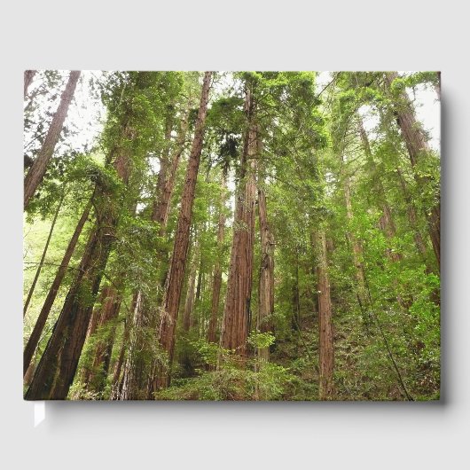Tot Redwoods in Muir Bossen National Monument Gastenboek (Voorkant)