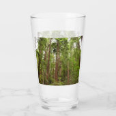 Tot Redwoods in Muir Bossen National Monument Glas (Achterkant)