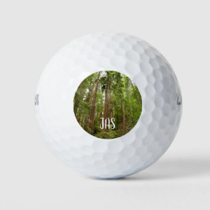 Tot Redwoods in Muir Bossen National Monument Golfballen