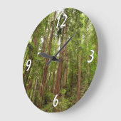 Tot Redwoods in Muir Bossen National Monument Grote Klok (Hoek)