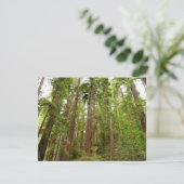 Tot Redwoods in Muir Bossen National Monument Kaart (Staand voorkant)
