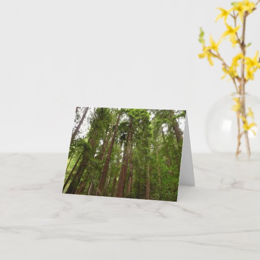 Tot Redwoods in Muir Bossen National Monument Kaart (Gele Bloem)