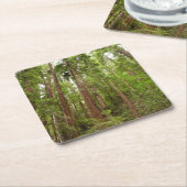 Tot Redwoods in Muir Bossen National Monument Kartonnen Onderzetters (Schuin)