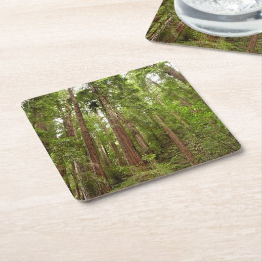 Tot Redwoods in Muir Bossen National Monument Kartonnen Onderzetters (Schuin)