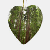 Tot Redwoods in Muir Bossen National Monument Keramisch Ornament (Links)