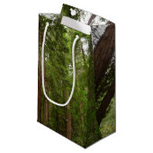 Tot Redwoods in Muir Bossen National Monument Klein Cadeauzakje (Voorkant Gekanteld)