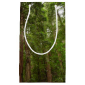 Tot Redwoods in Muir Bossen National Monument Klein Cadeauzakje (Voorkant)