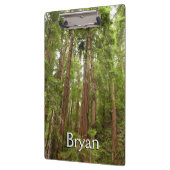 Tot Redwoods in Muir Bossen National Monument Klembord (Links)