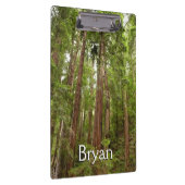 Tot Redwoods in Muir Bossen National Monument Klembord (Rechts)