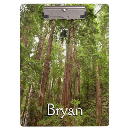 Tot Redwoods in Muir Bossen National Monument Klembord (Voorkant)