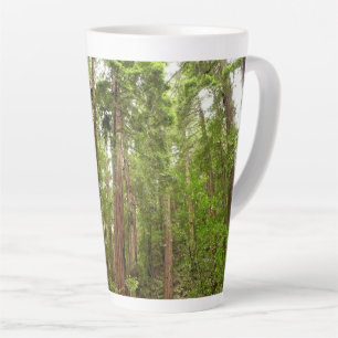 Tot Redwoods in Muir Bossen National Monument Latte Mok