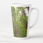 Tot Redwoods in Muir Bossen National Monument Latte Mok (Rechts)