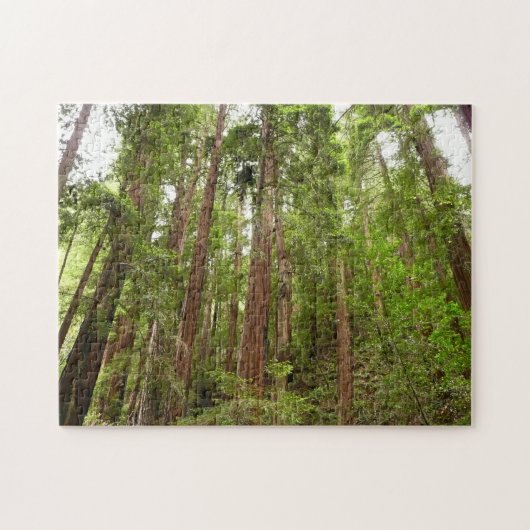 Tot Redwoods in Muir Bossen National Monument Legpuzzel (Horizontaal)