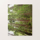 Tot Redwoods in Muir Bossen National Monument Legpuzzel (Verticaal)