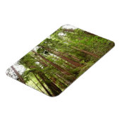 Tot Redwoods in Muir Bossen National Monument Magneet (Linkerzijde)