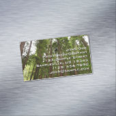 Tot Redwoods in Muir Bossen National Monument Magnetisch Visitekaartje (Voorbeeld)