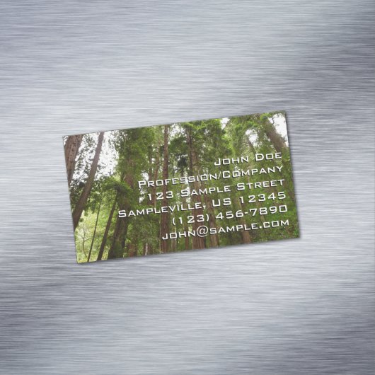 Tot Redwoods in Muir Bossen National Monument Magnetisch Visitekaartje (Voorbeeld)