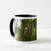 Tot Redwoods in Muir Bossen National Monument Mok (Voorkant links)