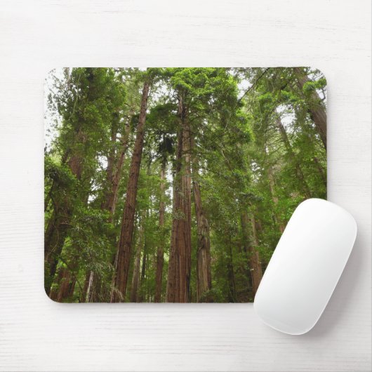 Tot Redwoods in Muir Bossen National Monument Muismat (Met muis)