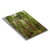 Tot Redwoods in Muir Bossen National Monument Notitieboek (Rechterzijde)