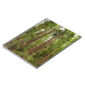 Tot Redwoods in Muir Bossen National Monument Notitieboek (Linkerzijde)