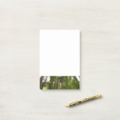 Tot Redwoods in Muir Bossen National Monument Post-it® Notes (Op bureau)